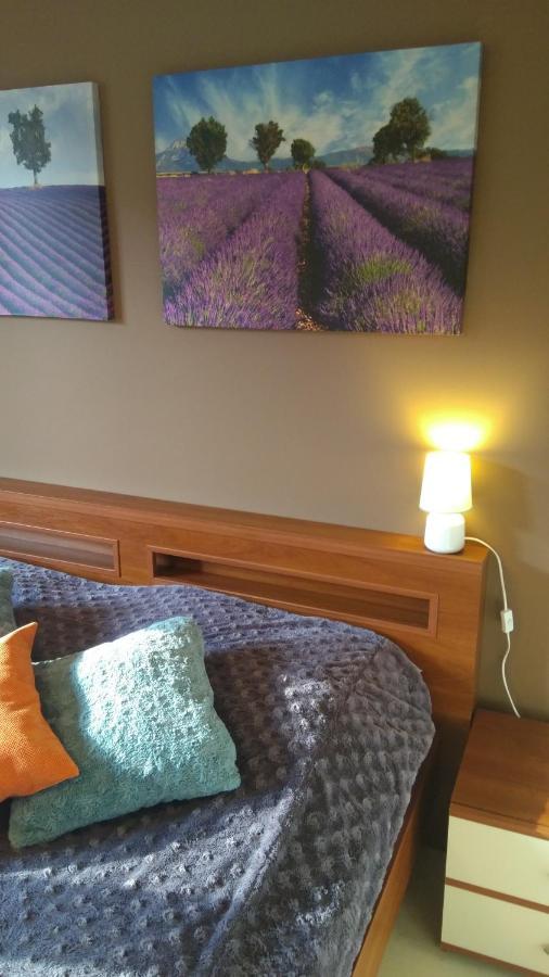 City Center Apartment Słupsk Extérieur photo
